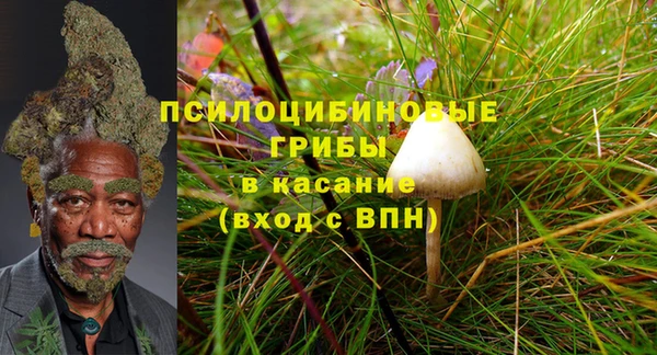 спиды Вяземский