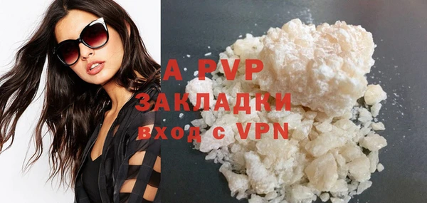 спиды Вяземский