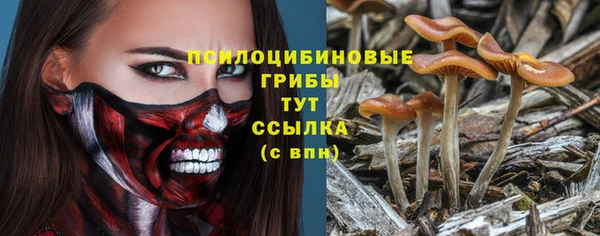 прущий лед Вязьма